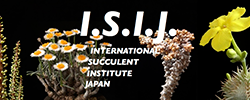International Succulent Institute Japan